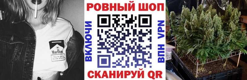 Виды наркотиков купить Ладушкин Кокаин Альфа ПВП ГАШ