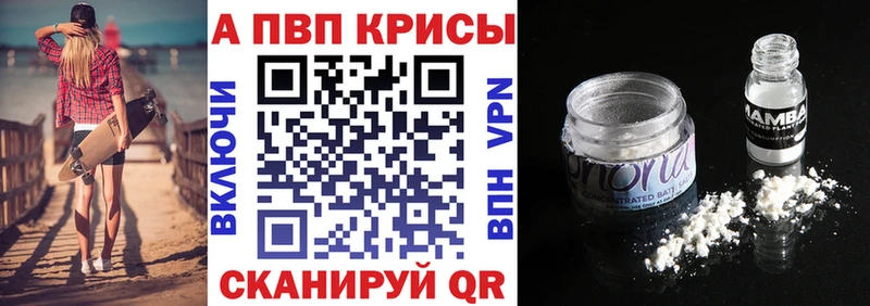 darknet телеграм  Ладушкин  А ПВП СК КРИС 