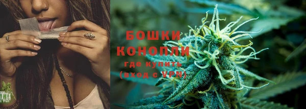 крисы Кулебаки
