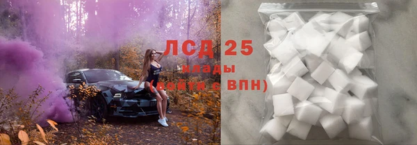 крисы Кулебаки