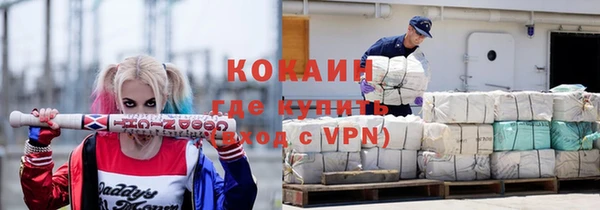 крисы Кулебаки