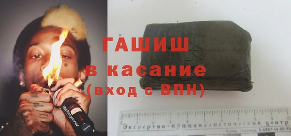 крисы Кулебаки