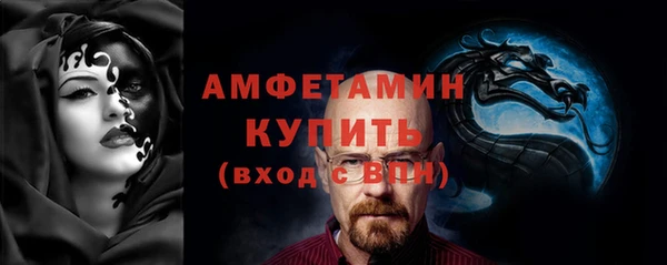 крисы Кулебаки