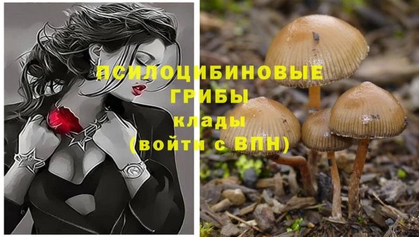 соль курить ск Куйбышев