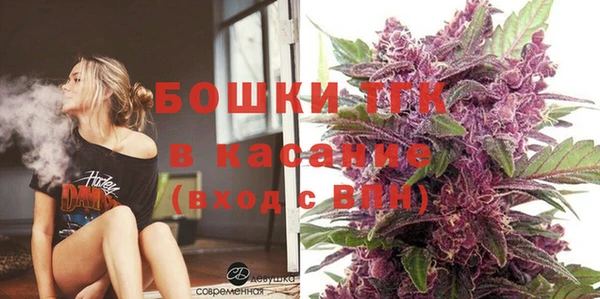 Альфа ПВП Лагань
