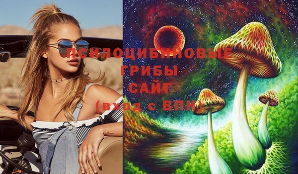 крисы Кулебаки