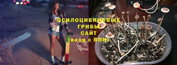крисы Кулебаки